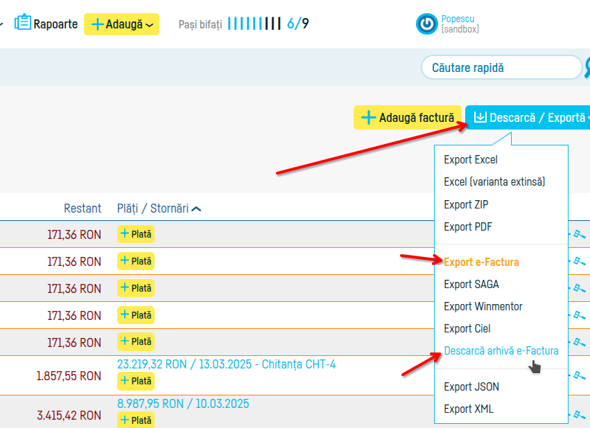 Cum descarc mai multe facturi? - pasul 5