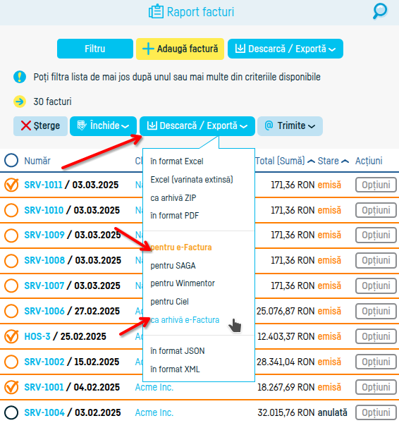 Cum descarc mai multe facturi? - pasul 5